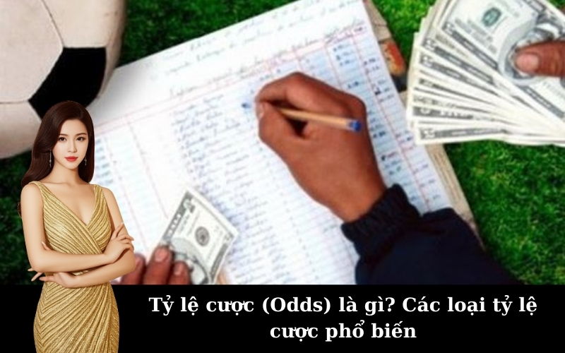 Tỷ lệ cược (Odds) là gì? Các loại tỷ lệ cược phổ biến