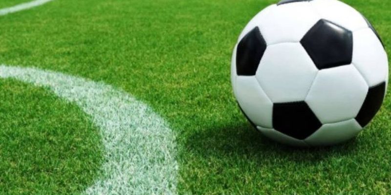 Phân tích sự biến động của tỷ lệ kèo