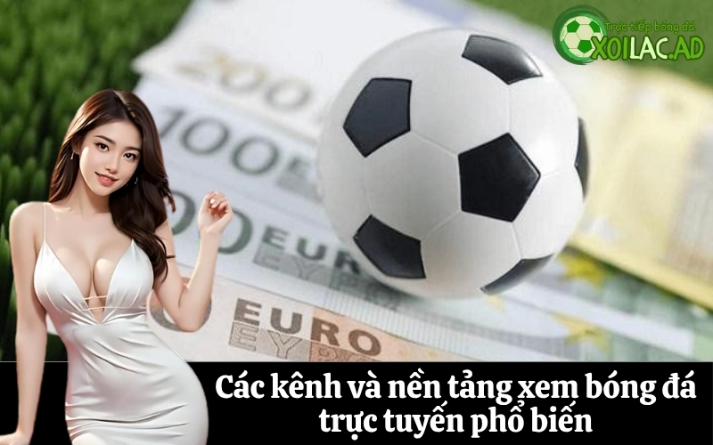 Các kênh và nền tảng xem bóng đá trực tuyến phổ biến