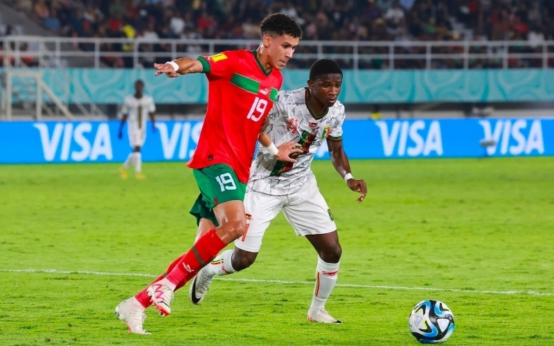 Chiến thuật và lối chơi dự kiến