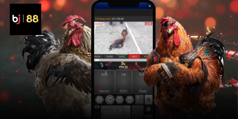 Giải Pháp Xem Video Chất Lượng Cao Băng Thông Yếu