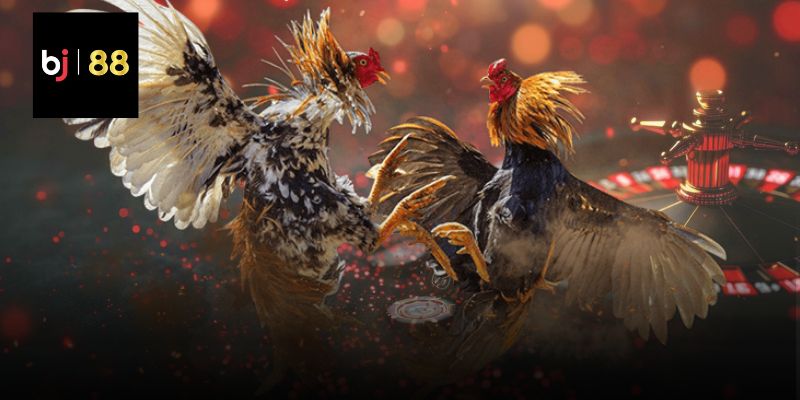 Nguyên nhân khiến video chất lượng cao băng thông bị ảnh hưởng